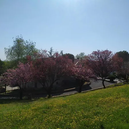 Tenuta I Ciliegi Guest house *